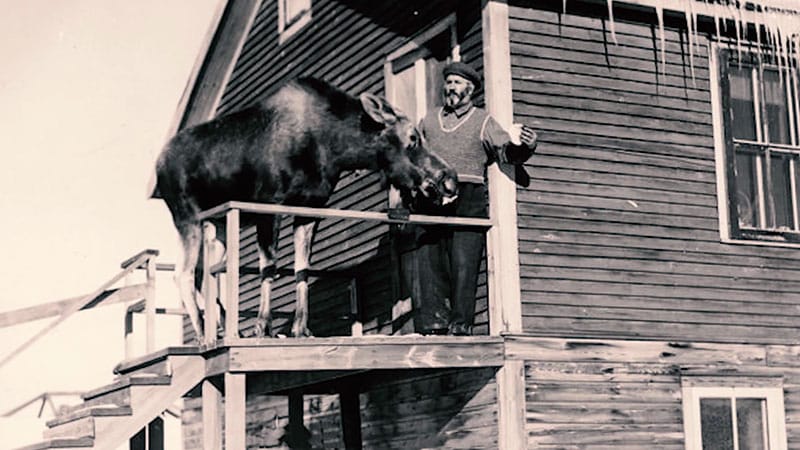 Joe-LaFlamme-Moose-Gogama-Ontario