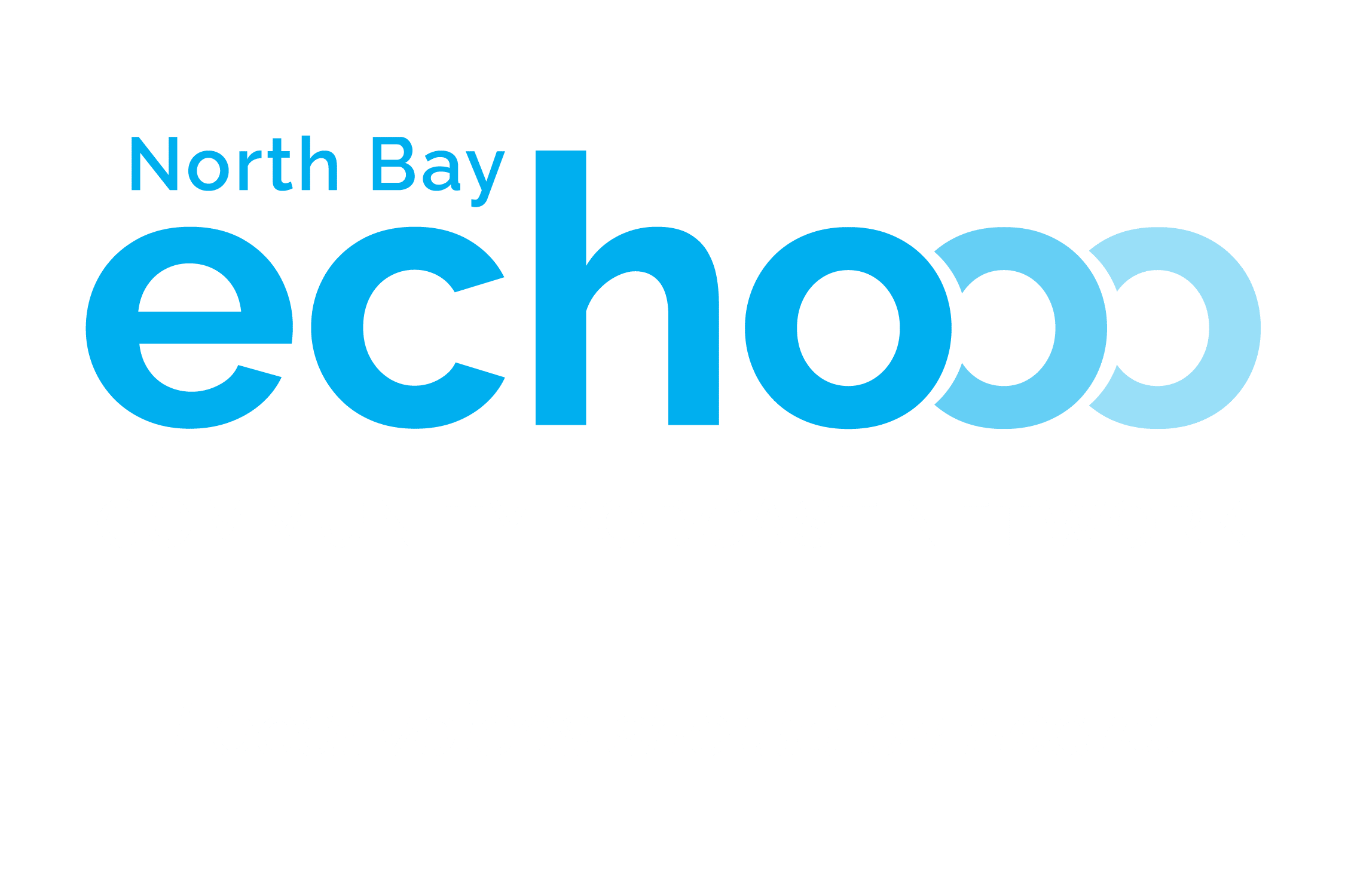 NB_Echo_Logo_Col